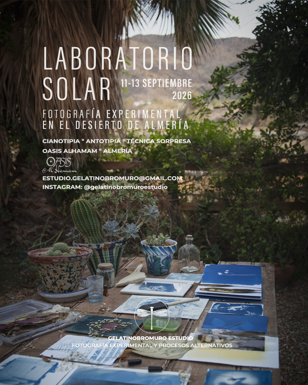 INSTAGRAM- LABO SOLAR- PROPORCIÓN 4-5 copia